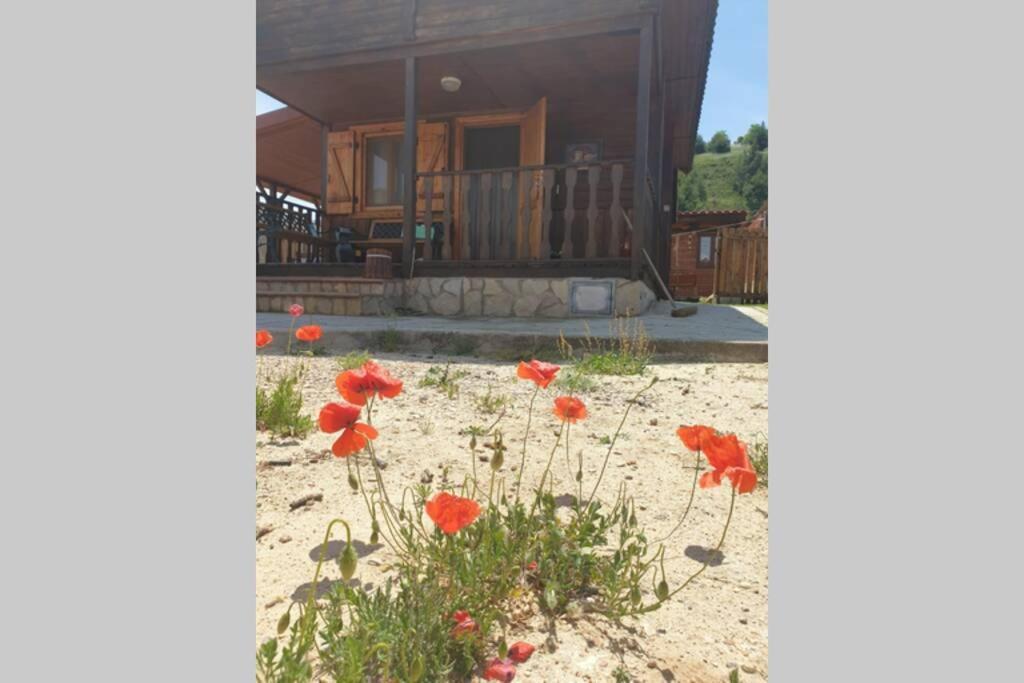 Cabana De Madera Especial Y Acogedora Cardenete ภายนอก รูปภาพ